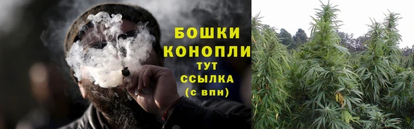 мдпв Анива