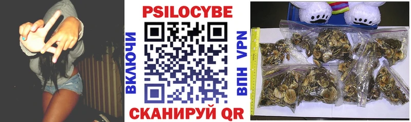 Псилоцибиновые грибы GOLDEN TEACHER где можно купить наркотик Белокуриха
